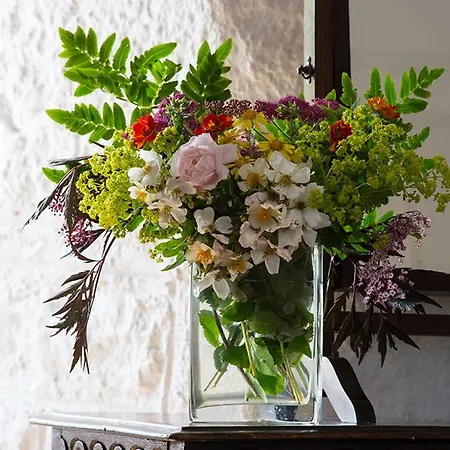 Ross Castle Bed & Breakfast *