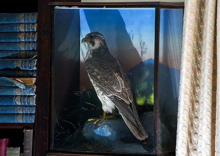 Ross Castle Bed & Breakfast