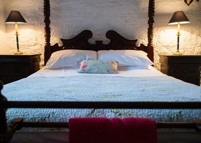 住宿加早餐酒店 Ross Castle Oldcastle