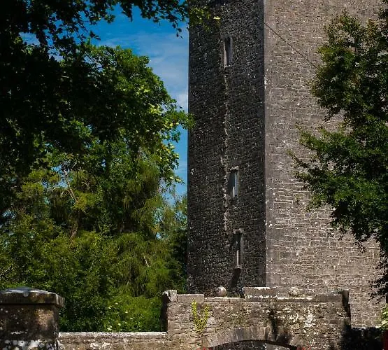 Ross Castle 住宿加早餐酒店 Oldcastle